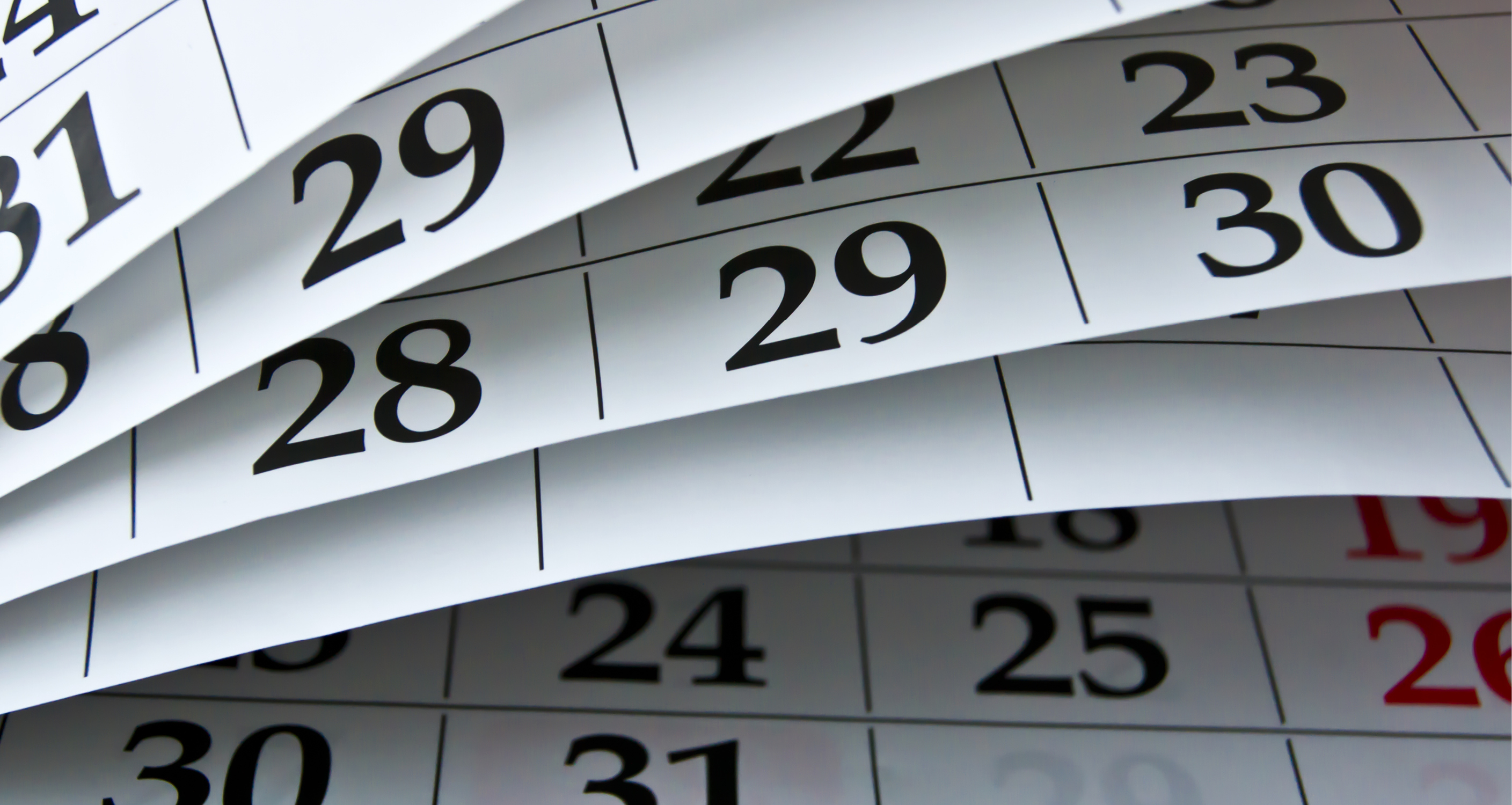 Waiting Game: How Long Does It Take the N.C. Court Of Appeals To Issue  Opinions? – NCBarBlog
